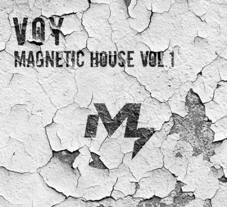 Sample Market VOY Magnetic House Vol.1 WAV